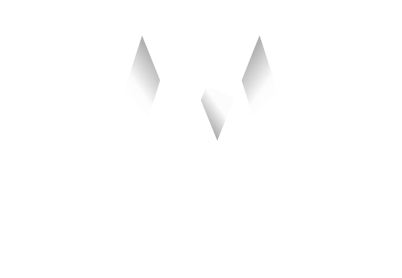 Maxvission